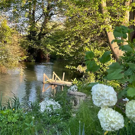 La Petite Rive - Les Oliviers-3